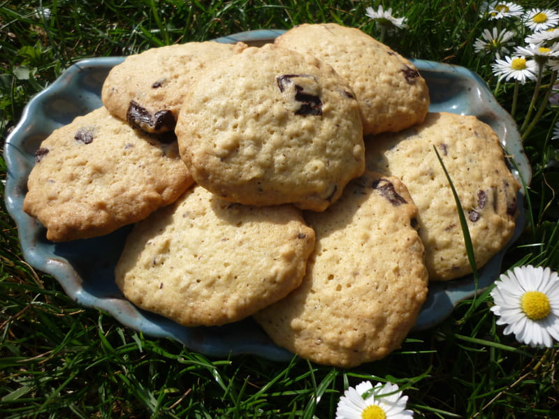 Oatmeal Cookie Recipe with Chocolate Chips