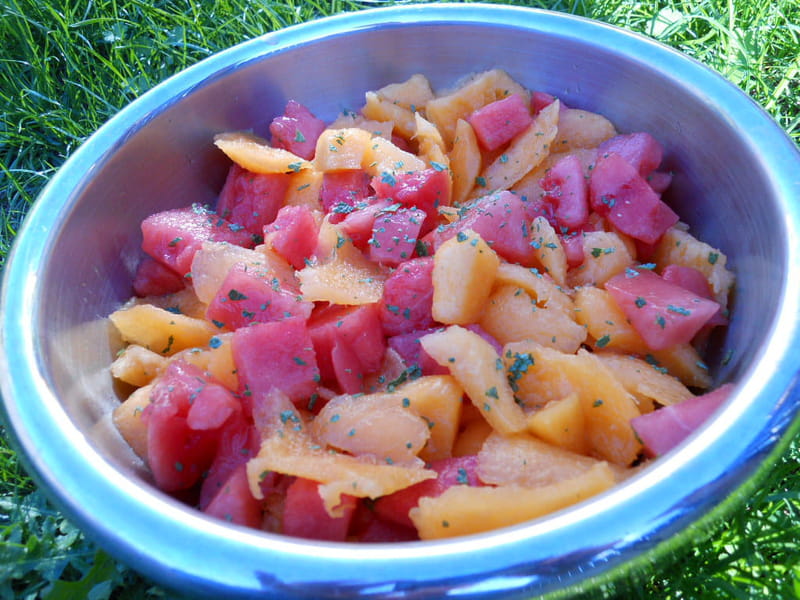 Melon and Watermelon Salad: The Easy Recipe